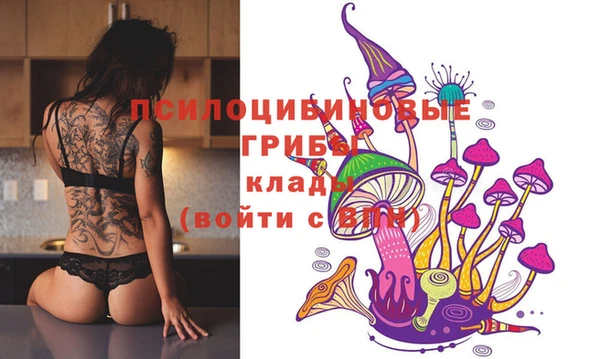 таблы Алзамай