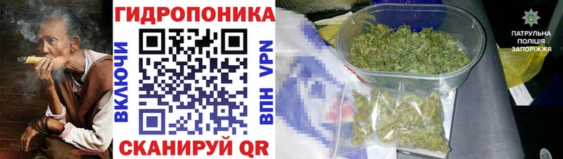 Купить где  Макушино  Конопля MAZAR 